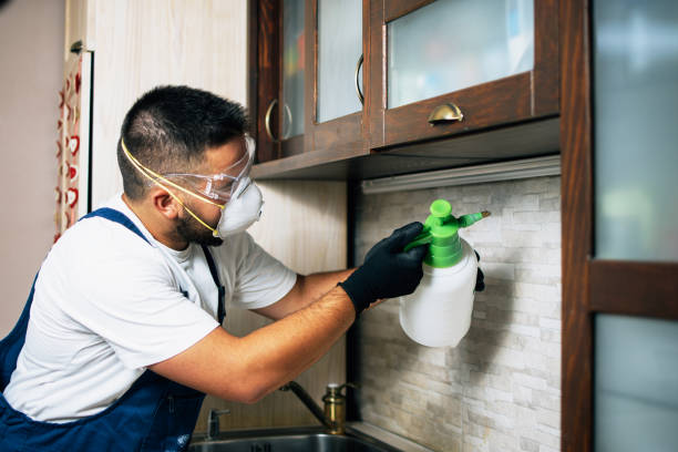 Best Local Pest Control Services  in Waelder, TX
