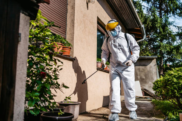 Best Emergency Pest Control  in Waelder, TX