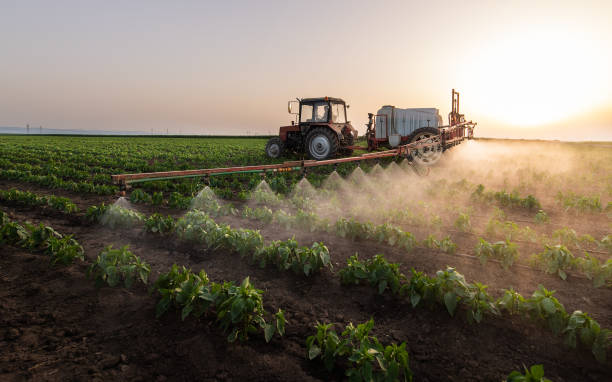 Best Pest Control Near Me  in Waelder, TX